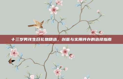 十三岁男孩生日礼物精选，创意与实用并存的选择指南