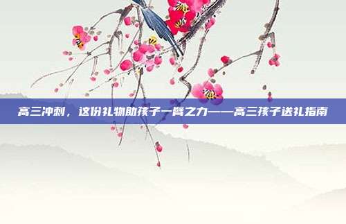 高三冲刺，这份礼物助孩子一臂之力——高三孩子送礼指南