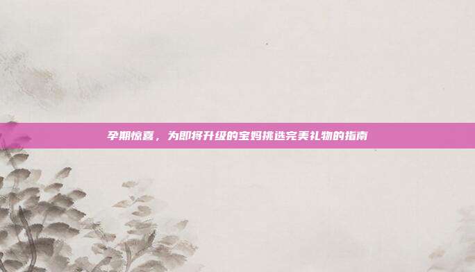 孕期惊喜，为即将升级的宝妈挑选完美礼物的指南