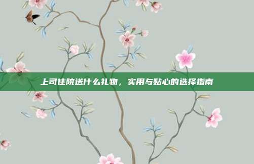 上司住院送什么礼物，实用与贴心的选择指南
