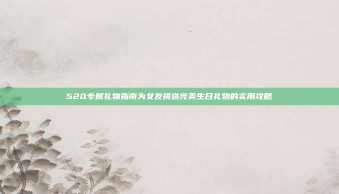 520专属礼物指南为女友挑选完美生日礼物的实用攻略