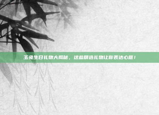 玉兔生日礼物大揭秘，这些精选礼物让你表达心意！