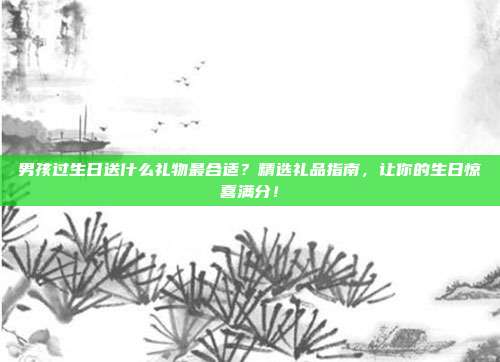 男孩过生日送什么礼物最合适？精选礼品指南，让你的生日惊喜满分！