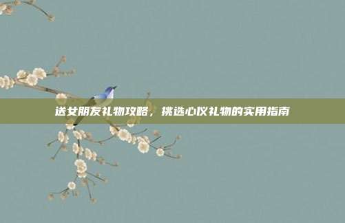 送女朋友礼物攻略，挑选心仪礼物的实用指南