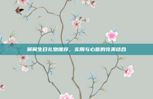 舅舅生日礼物推荐，实用与心意的完美结合