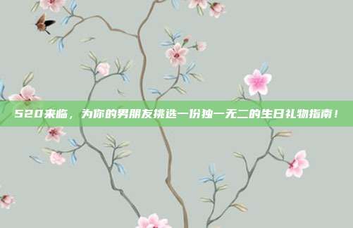 520来临，为你的男朋友挑选一份独一无二的生日礼物指南！