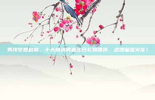 男孩梦想启航，十大精选男童生日礼物推荐，点燃童趣火花！