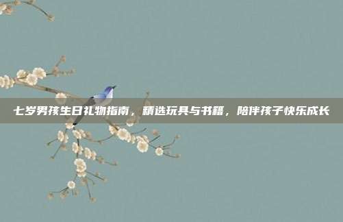 七岁男孩生日礼物指南，精选玩具与书籍，陪伴孩子快乐成长