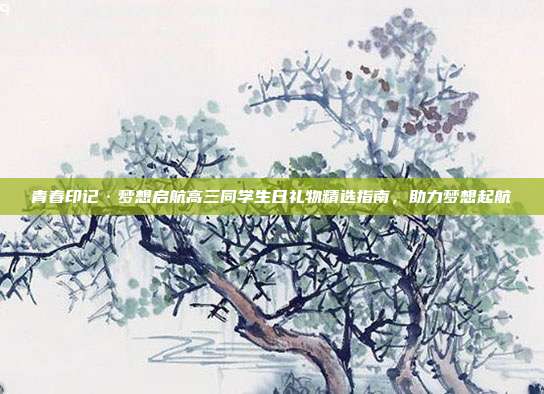 青春印记·梦想启航高三同学生日礼物精选指南，助力梦想起航