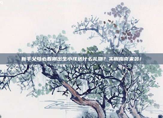 新手父母必看刚出生小孩送什么礼物？实用指南来袭！