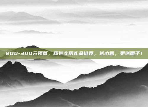200-300元预算，精选实用礼品推荐，送心意，更送面子！