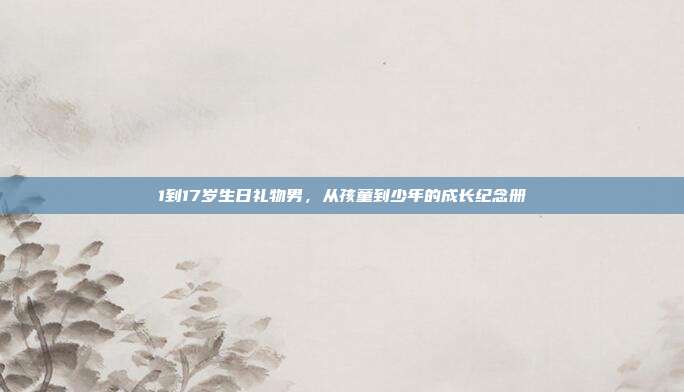 1到17岁生日礼物男，从孩童到少年的成长纪念册