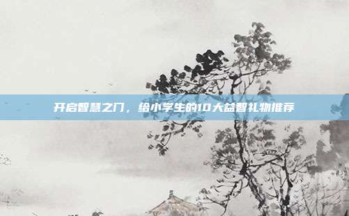 开启智慧之门，给小学生的10大益智礼物推荐