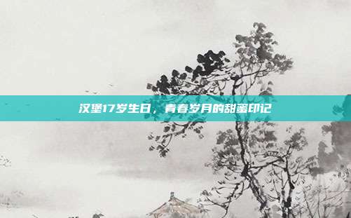 汉堡17岁生日，青春岁月的甜蜜印记