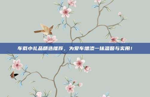 车载小礼品精选推荐，为爱车增添一抹温馨与实用！