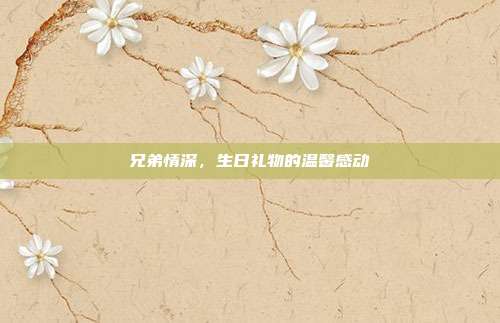 兄弟情深，生日礼物的温馨感动