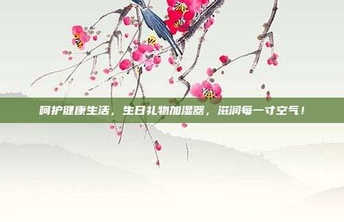 呵护健康生活，生日礼物加湿器，滋润每一寸空气！