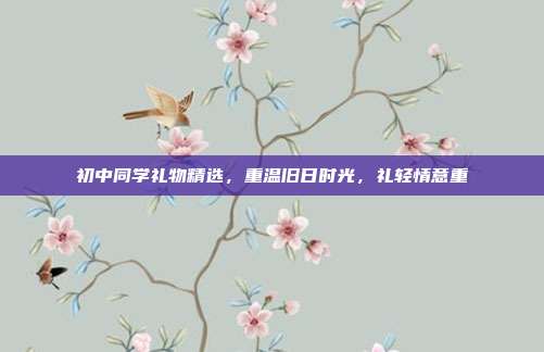 初中同学礼物精选，重温旧日时光，礼轻情意重