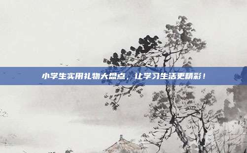 小学生实用礼物大盘点，让学习生活更精彩！