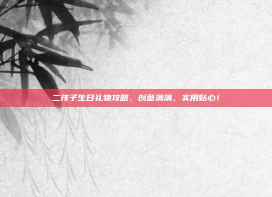 二孩子生日礼物攻略，创意满满，实用贴心！