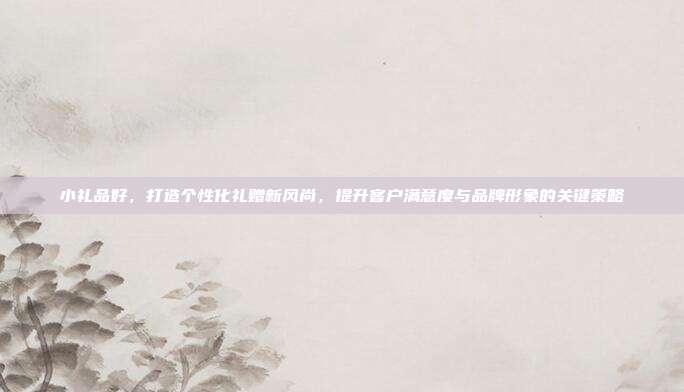 小礼品好，打造个性化礼赠新风尚，提升客户满意度与品牌形象的关键策略