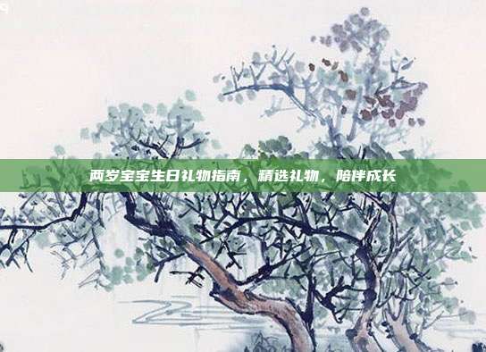 两岁宝宝生日礼物指南，精选礼物，陪伴成长