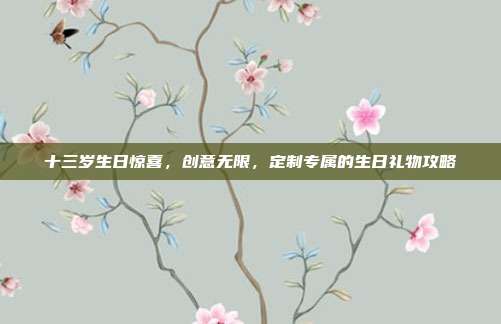 十三岁生日惊喜，创意无限，定制专属的生日礼物攻略