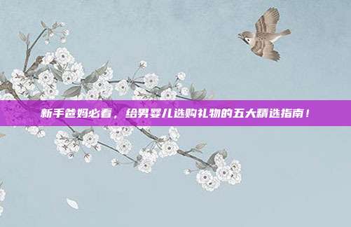 新手爸妈必看，给男婴儿选购礼物的五大精选指南！