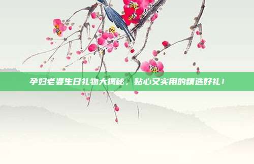 孕妇老婆生日礼物大揭秘，贴心又实用的精选好礼！