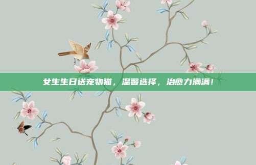 女生生日送宠物猫，温馨选择，治愈力满满！