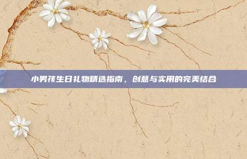 小男孩生日礼物精选指南，创意与实用的完美结合