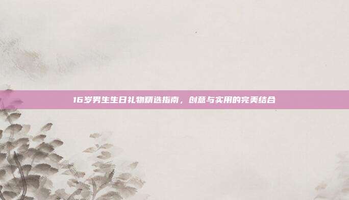 16岁男生生日礼物精选指南，创意与实用的完美结合