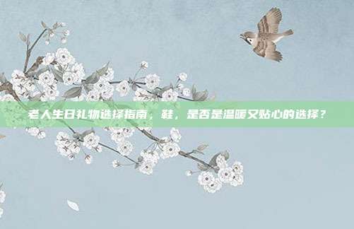 老人生日礼物选择指南，鞋，是否是温暖又贴心的选择？