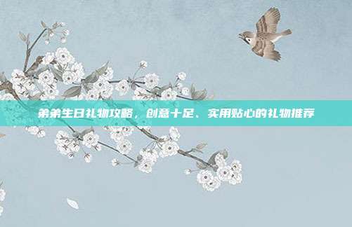 弟弟生日礼物攻略，创意十足、实用贴心的礼物推荐