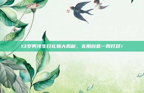 13岁男孩生日礼物大揭秘，实用创意一网打尽！
