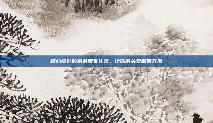 精心挑选的弟弟搬家礼物，让你的关爱瞬间升温