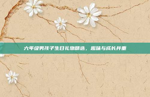 六年级男孩子生日礼物精选，趣味与成长并重