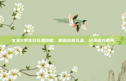 女宝2岁生日礼物攻略，精选创意礼品，记录成长瞬间