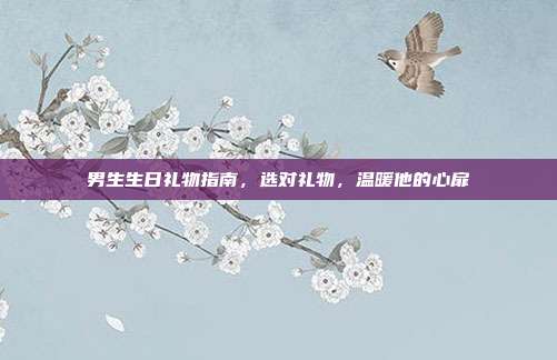 男生生日礼物指南，选对礼物，温暖他的心扉