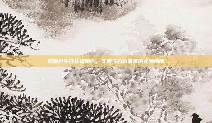 同事过生日礼物精选，实用与心意兼备的礼物指南