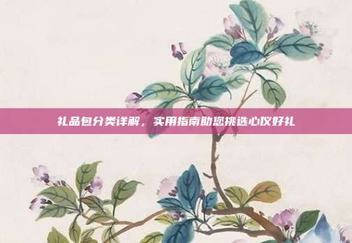 礼品包分类详解，实用指南助您挑选心仪好礼