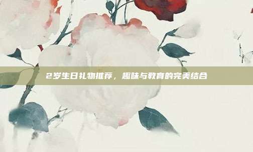 2岁生日礼物推荐，趣味与教育的完美结合