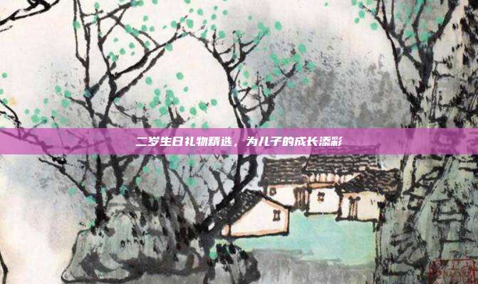 二岁生日礼物精选，为儿子的成长添彩