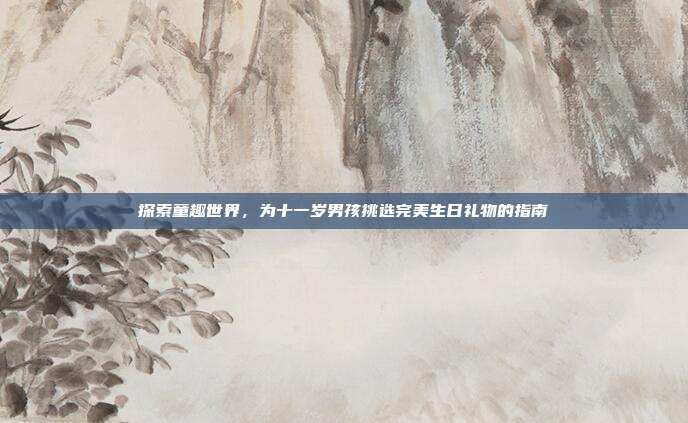 探索童趣世界，为十一岁男孩挑选完美生日礼物的指南