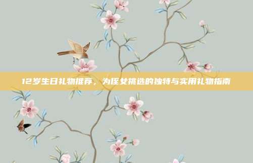 12岁生日礼物推荐，为侄女挑选的独特与实用礼物指南
