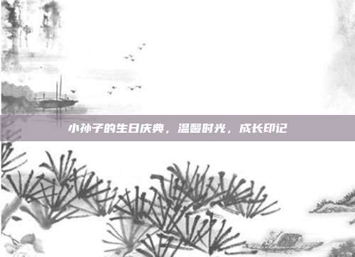 小孙子的生日庆典，温馨时光，成长印记