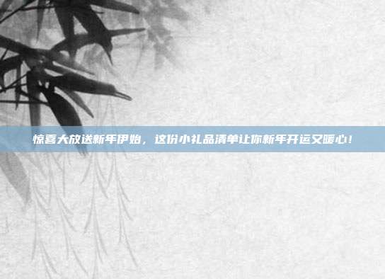 惊喜大放送新年伊始，这份小礼品清单让你新年开运又暖心！