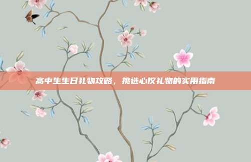 高中生生日礼物攻略，挑选心仪礼物的实用指南