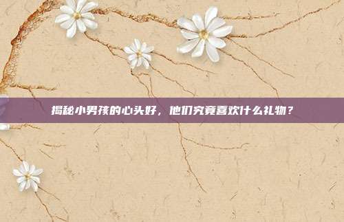 揭秘小男孩的心头好，他们究竟喜欢什么礼物？