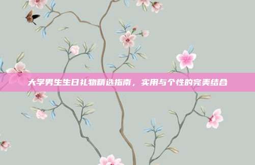 大学男生生日礼物精选指南，实用与个性的完美结合